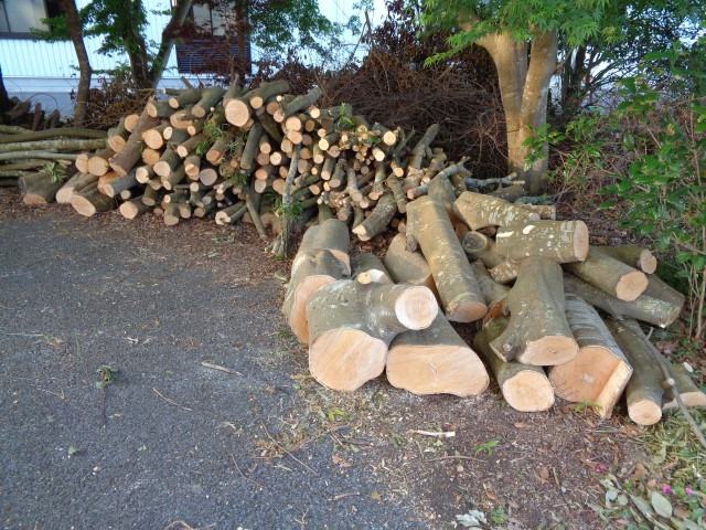 【伐採木の処分業務終了及びお見積り方法変更のご案内】